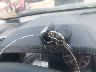 1N4BL4BV6LC****** Salvamento 2020 Nissan Altima en Estado de Virginia