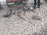 1FTFW1CT2EK****** Wrecked 2014 Ford F-150 in Louisiana State