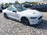 1FA6P8TH2M5****** Salvage and Wrecked 2021 Ford Mustang in Miami North