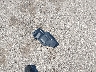 5N1AR1NB6CC****** Wrecked 2012 Nissan Pathfinder in Minnesota State