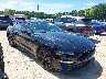 1FA6P8TH3P5****** Salvamento y Destrozados 2023 Ford Mustang en Concord
