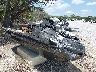 YDV1017***** Salvage and Wrecked 2022 Sea-Doo Rxt-300 in Tampa