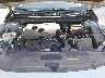 1N4BL4EV5KC****** Repairable 2019 Nissan Altima in Chicago South