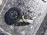 1HD1KB416AB****** Salvage 2010 Harley-Davidson FLHX in Illinois State