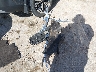 3LN6L2G93DR****** Salvamento 2013 Lincoln MKZ en Estado de Oklahoma