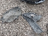 19XFC2F72HE****** Wrecked 2017 Honda Civic in South Carolina State