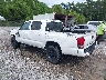 3TMCZ5AN8PM****** Salvamento y Reparables 2023 Toyota Tacoma en Gulf Coast