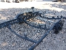 7J511NJ22JB****** Salvamento y Reparables 2018 Zieman Trailer - Trailstar en Estado de Idaho