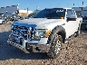 1FTFX1EV1AF****** Used and Repairable 2010 Ford F-150 in Oklahoma City