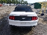 1FATP8UH8N5****** Destrozados 2022 Ford Mustang