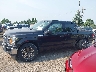 1FTEW1C51KK****** Repairable 2019 Ford F-150 in Michigan State