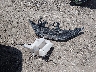 3N1AB7AP4GY****** Wrecked 2016 Nissan Sentra in Kansas State