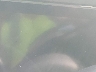 KMHLP4AG0MU****** Salvage 2021 Hyundai Elantra