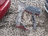 1FAFP23155G****** Wrecked 2005 Ford Five Hundred in Louisiana State