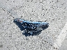 JTNKHMBX7L1****** Wrecked 2020 Toyota C-HR in California State