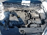 3KPF24AD1LE****** Reparables 2020 Kia Forte en Nashville