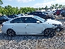 3KPF24AD1LE****** Reparables 2020 Kia Forte en Estado de Tennessee