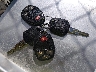 3GNAL3EK7DS****** Salvamento 2013 Chevrolet Captiva en Estado de Kansas