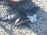 1FMCU0F75KU****** Destrozados 2019 Ford Escape en Estado de Ohio