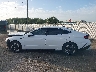 KMHL64JA0TA****** Salvage 2026 Hyundai Sonata