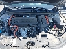 1HGCY2F66RA****** Reparables 2024 Honda Accord en Raleigh