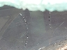 JN1CV6AP1CM****** Reparables 2012 Infiniti G37 en Estado de Washington