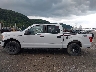 1FTEW1EP3LF****** Salvage 2020 Ford F-150