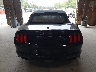1FATP8FF5K5****** Destrozados 2019 Ford Mustang