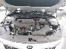 5XXGT4L39KG****** Reparables 2019 Kia Optima en Phoenix