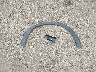 3CZRZ2H59SM****** Wrecked 2025 Honda HR-V in Texas State