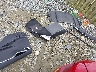 5YJSA1E15GF****** Destrozados 2016 Tesla Model S en Estado de Virginia