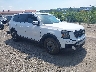 5XYP6DGC0RG****** Salvage and Wrecked 2024 Kia Telluride in Pittsburgh