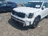 5XYP6DGC0RG****** Salvage and Repairable 2024 Kia Telluride in Pennsylvania State