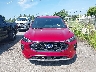 1FMCU9MN6RU****** Destrozados 2024 Ford Escape en Estado de Michigan