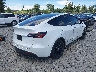 7SAYGAEE9PF****** Salvage and Wrecked 2023 Tesla Model Y in Washington State