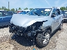 5XYPG4A31HG****** Salvage and Repairable 2017 Kia Sorento in Virginia State