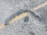 1GCHC23U27F****** Destrozados 2007 Chevrolet Silverado 2500 en Estado de Texas