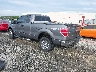 1FTFX1EV4AF****** Salvamento y Reparables 2010 Ford F-150 en Tifton