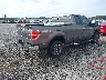 1FTFX1EV4AF****** Salvamento y Destrozados 2010 Ford F-150 en Estado de Georgia