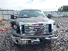 1FTFX1EV4AF****** Salvamento y Reparables 2010 Ford F-150 en Estado de Georgia