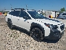 4S4BTGUD4S3****** Salvage and Wrecked 2025 Subaru Outback in Appleton