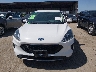 1FMCU0G65LU****** Wrecked 2020 Ford Escape in Texas State