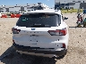 1FMCU0G65LU****** Wrecked 2020 Ford Escape
