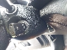 3KPF24AD0LE****** Salvage 2020 Kia Forte in Texas State
