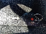 1FMCU9EG4AK****** Salvamento 2010 Ford Escape en Estado de Illinois