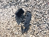 5TEUU42N26Z****** Wrecked 2006 Toyota Tacoma in Wisconsin State