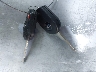 1FADP3K25EL****** Salvage 2014 Ford Focus in Ohio State