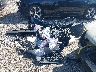 2HGFC1F32GH****** Wrecked 2016 Honda Civic in Kentucky State