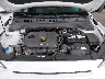 KM8K22AA2LU****** Repairable 2020 Hyundai Kona in Jacksonville