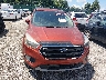 1FMCU9GD9KU****** Destrozados 2019 Ford Escape en Estado de Kentucky